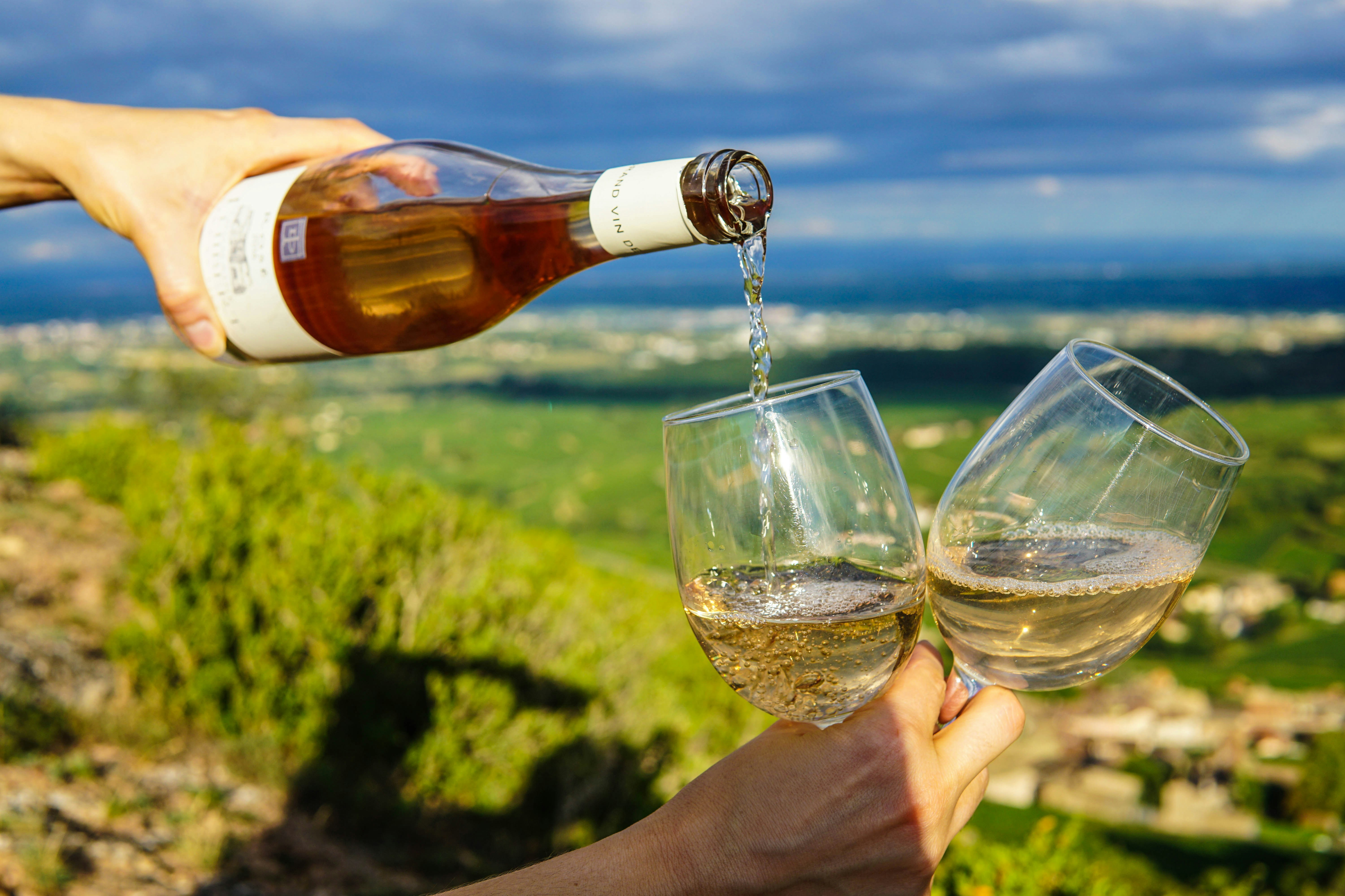 Et glas lys lyserød rosé vin i solskin